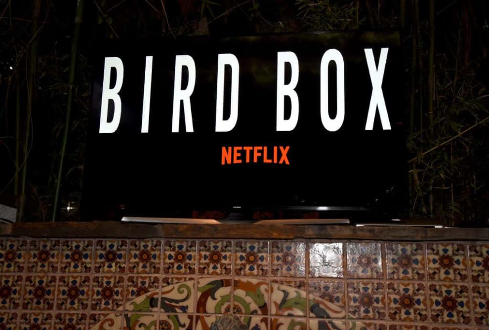 Photo of the words BirdBox in white
