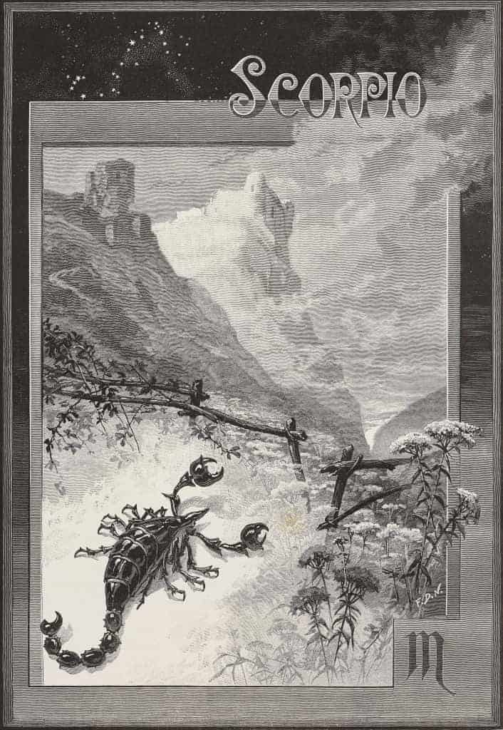 Scorpio