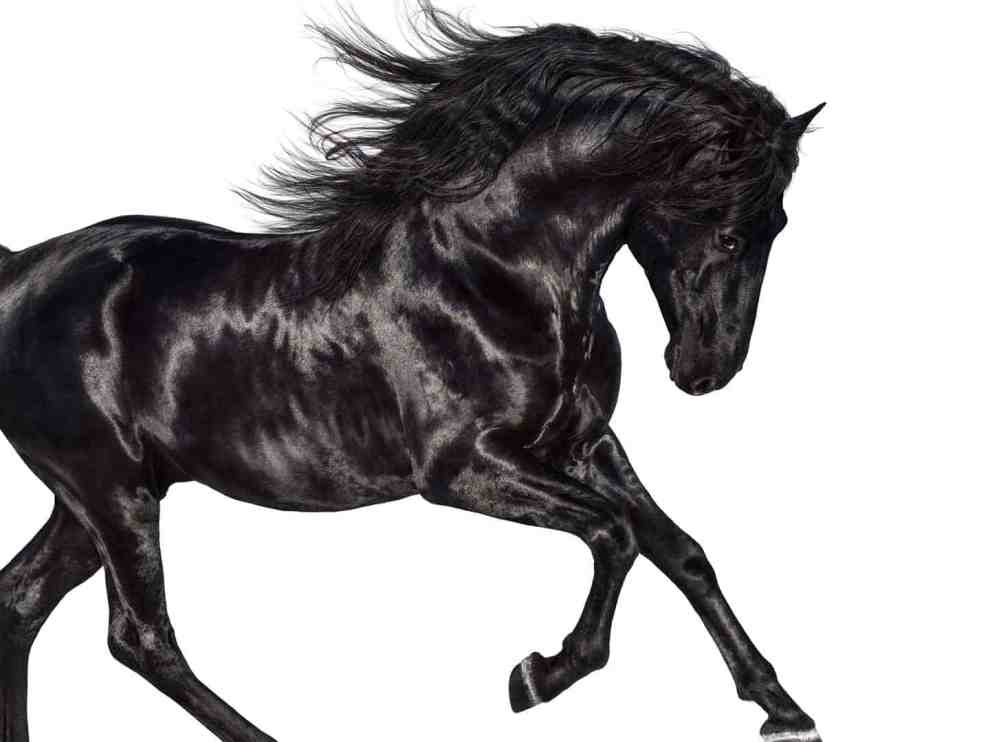Old Town Road