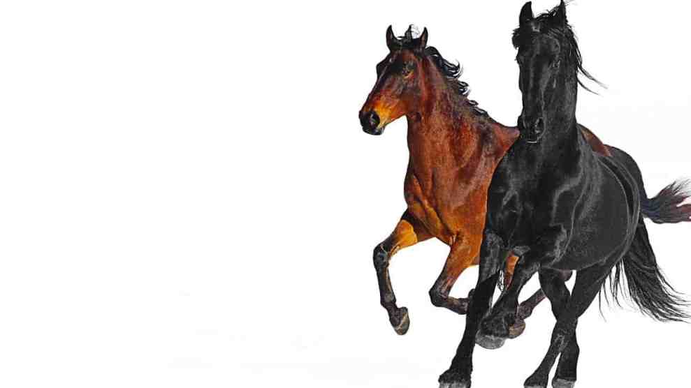 Old Town Road