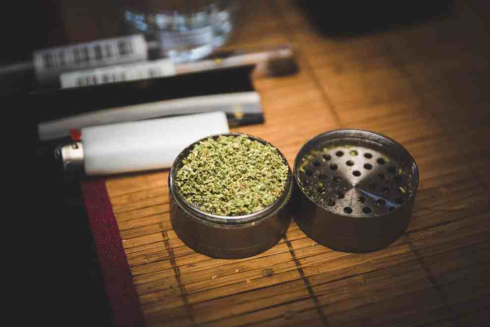Cannabis