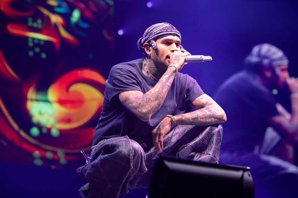 Chris Brown Backs Sentence Reductions for Inmate Firefighters