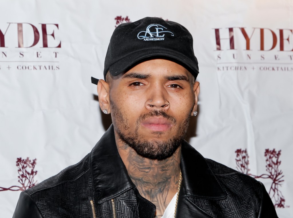 Chris Brown Praises Trump Over IRS Plans